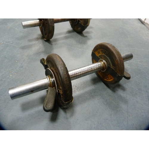 48 - Pair of dumbbell weights.