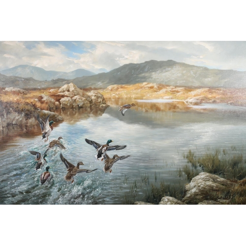 299 - WILLIAM HOLLYWOOD (British b1923) *ARR* Mallards Startled on a Connemara LakeOil on canvas, signed l... 