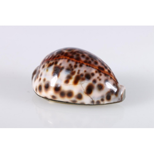 56 - Antique brass mounted cowrie shell snuff box, 8cm x 5.5cm x 4cm.