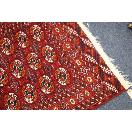 547 - Turkoman rug, the red field decorated with three rows of eight guls, 148cm x 100cm. 