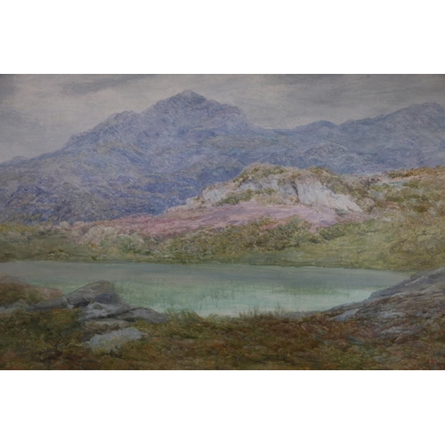 331 - EDWARD STEEL HARPER (1878-1951) Mountain Tarn Inverness-shire Oil painting, signed with monogram and... 