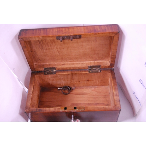 75 - Two 19th century portable mahogany collector's boxes (lacking interiors), one with key.  (2)