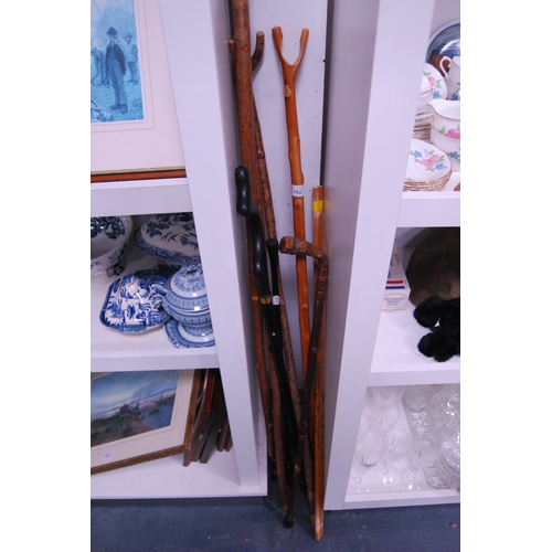 162 - Group of walking sticks to include gnarled examples.