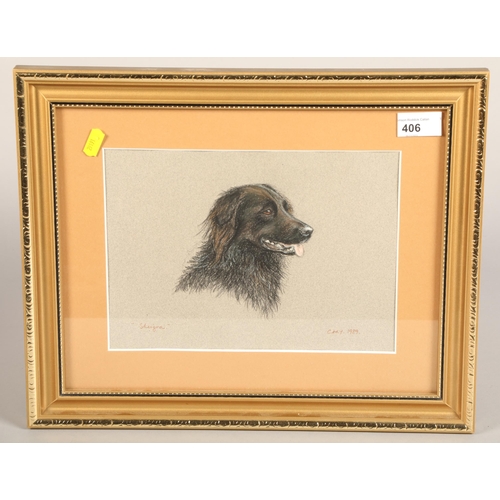 406 - Cary 1989, framed bust of a dog