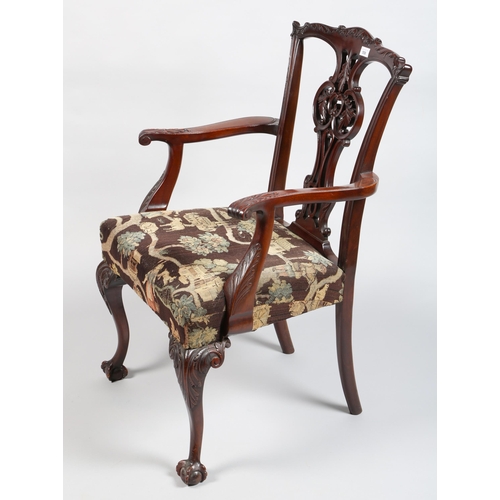 558 - Set of six carved mahogany claw and ball dining chairs (6)