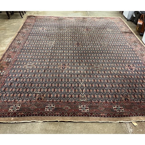 588 - Large woolen Sarab carpet, red and blue ground , 392 x 489 cm