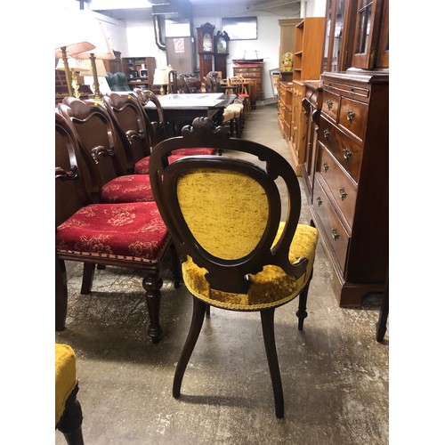 568 - Pair of Victorian mahogany mustard velvet upholstered hall chairs (2)