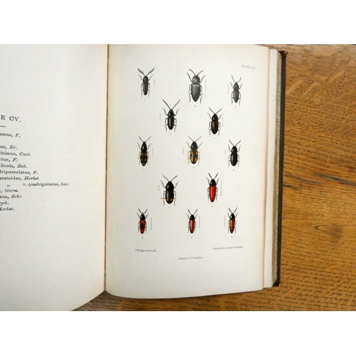 132 - FOWLER W. W.  The Coleoptera of the British Islands. 5 vols. 180 hand col. plates. Orig. brown cloth... 