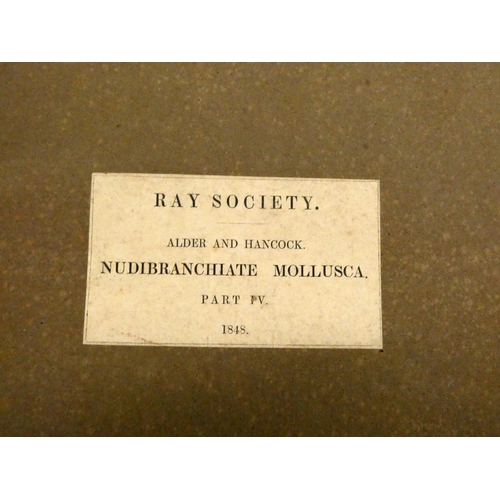 139 - RAY SOCIETY.  Alder J. & Hancock A. A Monograph of the British Nudibranchiate Mollusca... 