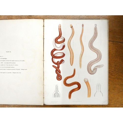 140 - RAY SOCIETY.  Mcintosh W. C. A Monograph of the British Annelids & The British Marine ... 