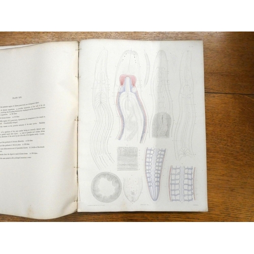 140 - RAY SOCIETY.  Mcintosh W. C. A Monograph of the British Annelids & The British Marine ... 