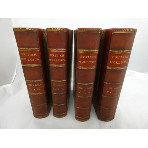 141 - FORBES EDWARD & HANLEY SYLVANUS.  A History of British Mollusca & Their Shells. 4 vols. 203 ... 