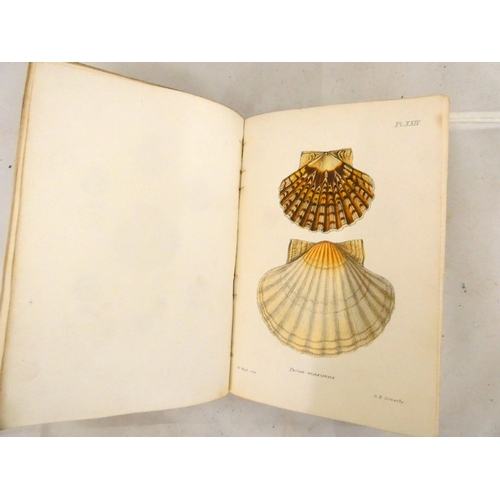 142 - JEFFREYS JOHN GWYN.  British Conchology or An Account of the Mollusca Which Now Inhabit th... 