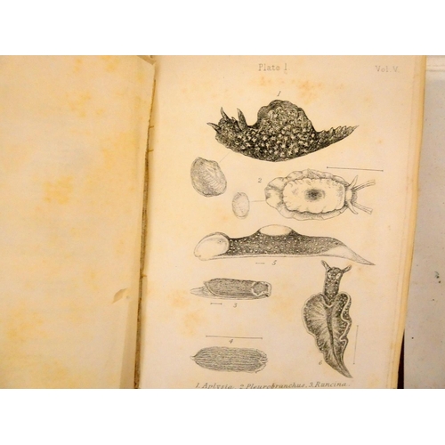 142 - JEFFREYS JOHN GWYN.  British Conchology or An Account of the Mollusca Which Now Inhabit th... 