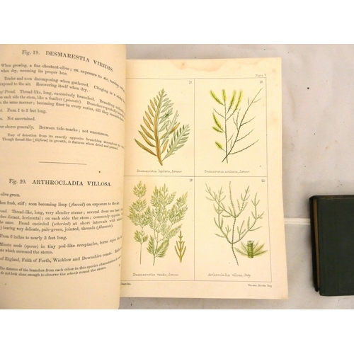 147 - GATTY MRS ALFRED.  British Sea-Weeds. Col. plates. Small quarto. Rebound blue cloth, internal foxing... 