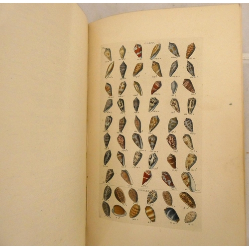 148 - WOOD W.  Index Testaceologicus, An Illustrated Catalogue of British & Foreign Shells. 46 hand co... 