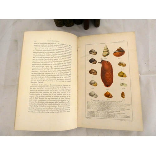 153 - TAYLOR JOHN W.  Monograph of the Land & Freshwater Mollusca of the British Isles - Str... 