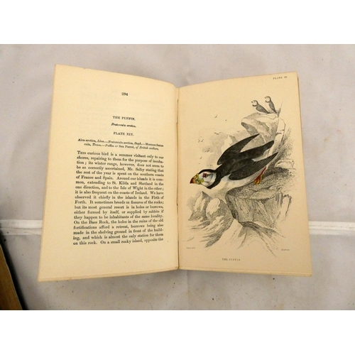 154 - SMITH CHARLOTTE.  A Natural History of Birds Intended Chiefly for Young Persons. 2 vols. in one. Eng... 