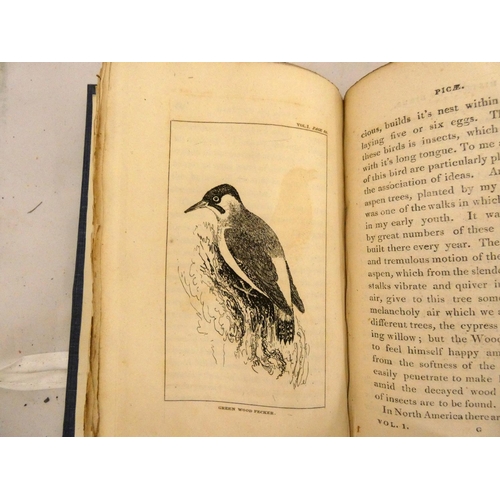 154 - SMITH CHARLOTTE.  A Natural History of Birds Intended Chiefly for Young Persons. 2 vols. in one. Eng... 