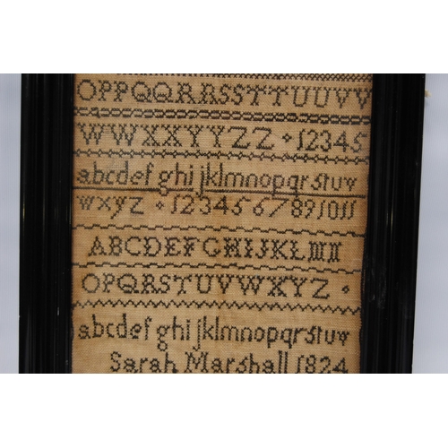 315 - George IV needlepoint sampler worked by Sarah Marshall, 1824, with alphabet above, 24cm x 17cm, in e... 