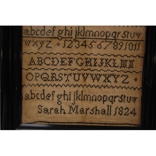 315 - George IV needlepoint sampler worked by Sarah Marshall, 1824, with alphabet above, 24cm x 17cm, in e... 