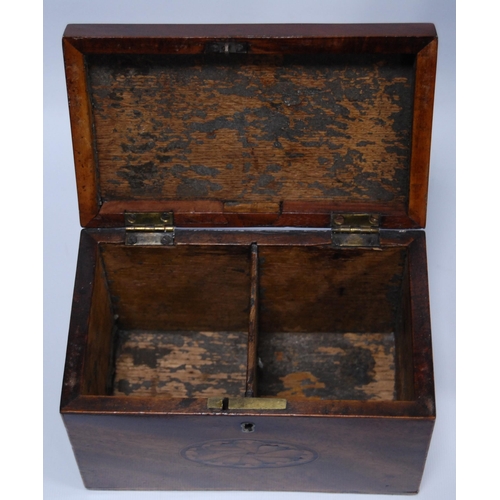 193 - George III satinwood box (formerly a tea caddy) with bone escutcheon, 14cm high, 29.5cm wide and 14.... 