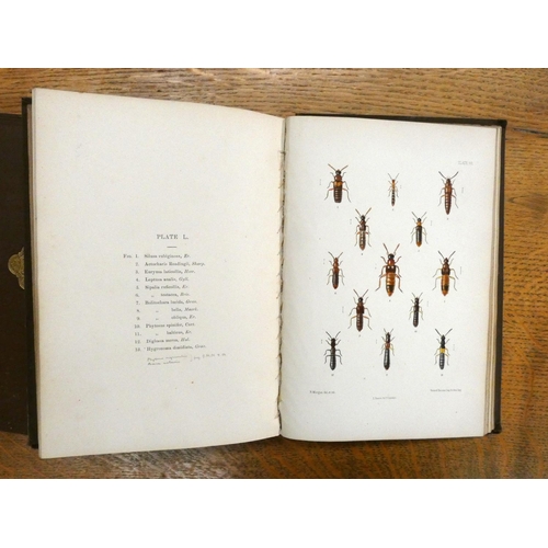 132 - FOWLER W. W.  The Coleoptera of the British Islands. 5 vols. 180 hand col. plates. Orig. brown cloth... 