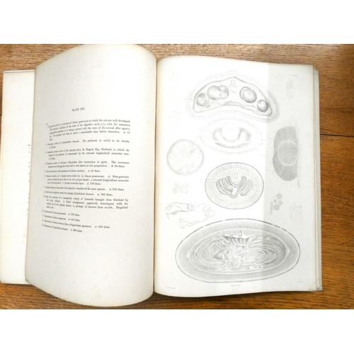 140 - RAY SOCIETY.  Mcintosh W. C. A Monograph of the British Annelids & The British Marine ... 