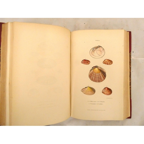 141 - FORBES EDWARD & HANLEY SYLVANUS.  A History of British Mollusca & Their Shells. 4 vols. 203 ... 