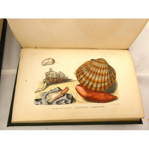 147 - GATTY MRS ALFRED.  British Sea-Weeds. Col. plates. Small quarto. Rebound blue cloth, internal foxing... 