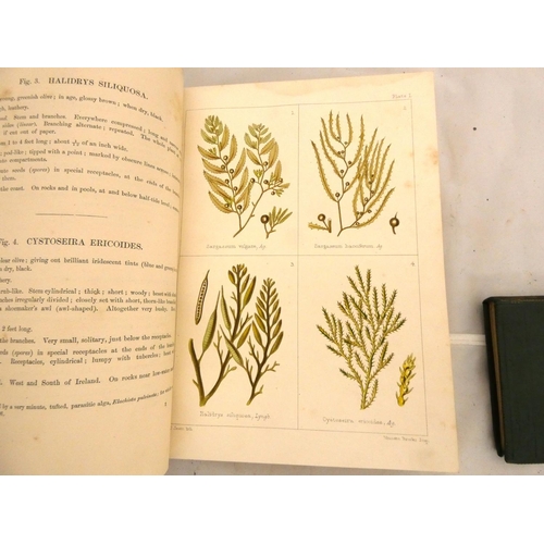 147 - GATTY MRS ALFRED.  British Sea-Weeds. Col. plates. Small quarto. Rebound blue cloth, internal foxing... 