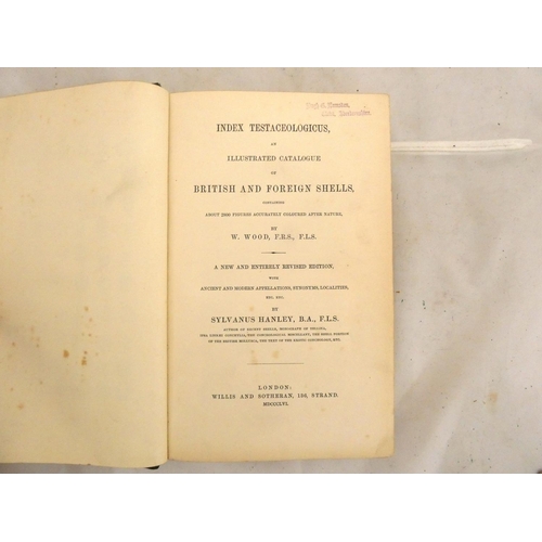 148 - WOOD W.  Index Testaceologicus, An Illustrated Catalogue of British & Foreign Shells. 46 hand co... 