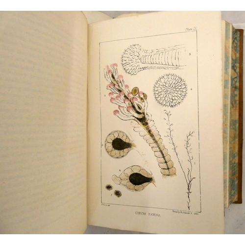 150 - HARTWIG DOCTOR G.  The Sea & Its Living Wonders. Fldg. map (tear noted). Litho frontis & pla... 