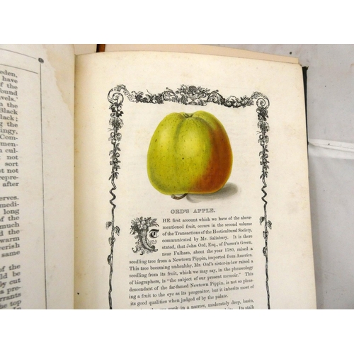 151 - MAUND B.  Orchard & Garden Fruits. 24 col. illus., each within an eng. border. Small quarto. Ori... 