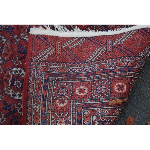 327 - Turkoman Tekke hand-knotted rug with seven rows of four guls and further geometric motifs to the bor... 