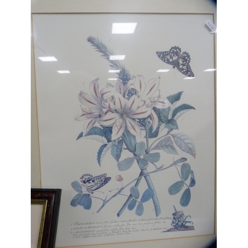 109 - Robert CoxVase of flowers and five framed prints.