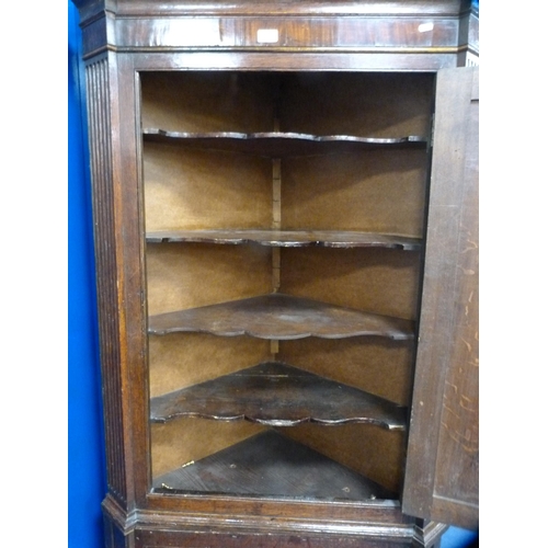 469 - Antique oak double corner cupboard with later ply backing.