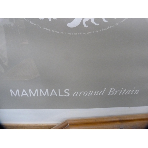 59 - Framed poster, 'Mammals Around Britain' and a framed needlework.  (2)