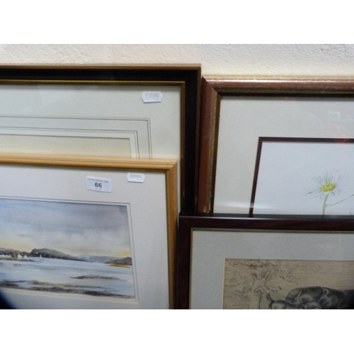 66 - Group of pictures to include a watercolour of Plockton Bay by Margaret S Gillie, horses, still life ... 