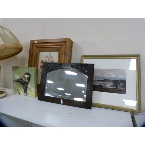 95 - Pair of framed botanical studies, print of a bird, carved wall mirror and a framed photograph of Car... 