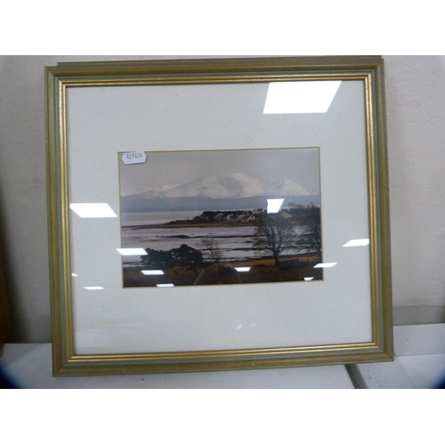 95 - Pair of framed botanical studies, print of a bird, carved wall mirror and a framed photograph of Car... 