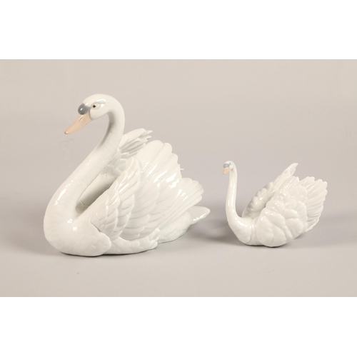 5 - Llardo Swan, with smaller Lladro swan, tallest 21 cm high (2)