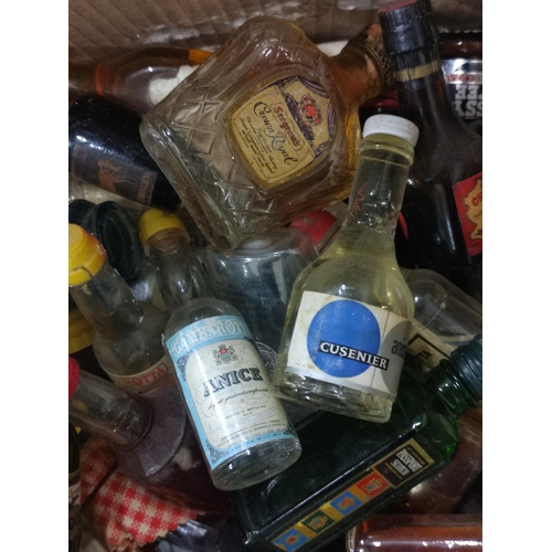 13E - Box of miniatures comprising mostly of brandy, Bourbon rum and vodka. Also to inclue some blended wh... 