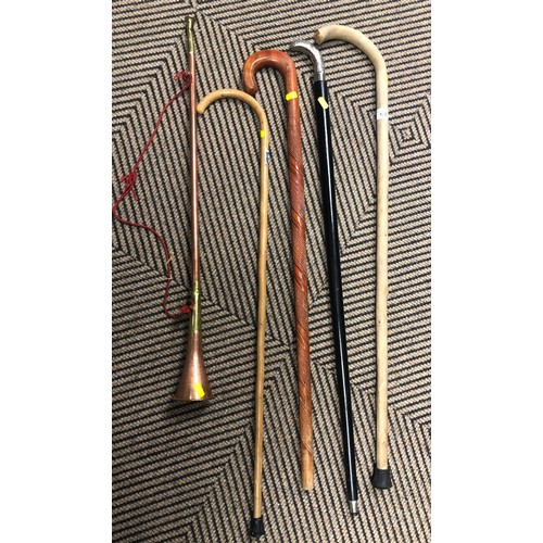 170 - Assortment of walking canes & buisine trumpet (5)