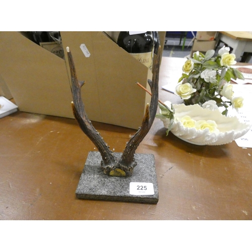 225 - Small set of antlers mounted on marble base.