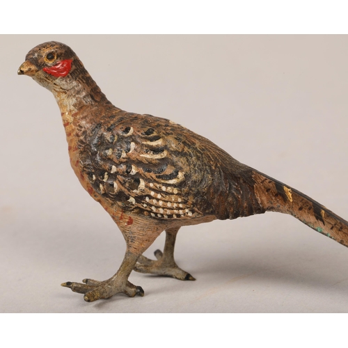 150 - Small cold metal painted pheasant, 13 cm long