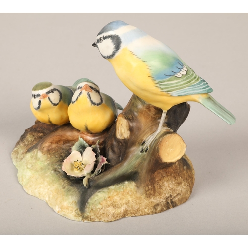 172 - Royal Crown Derby 'Blue tit and chicks' 12 cm high