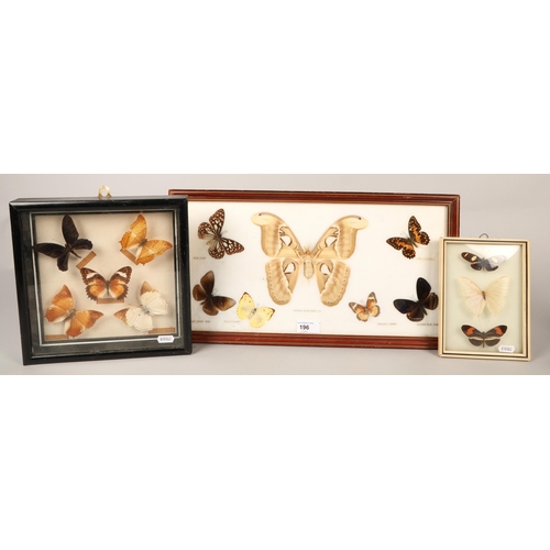 196 - Three framed cases of butterflies