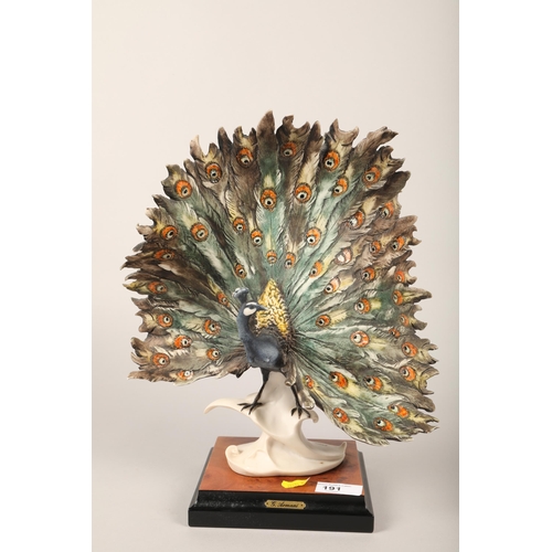 191 - Capodimonte Peacock, 34 cm high