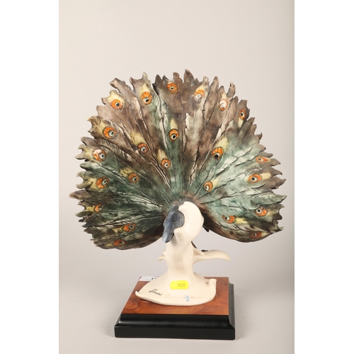 191 - Capodimonte Peacock, 34 cm high